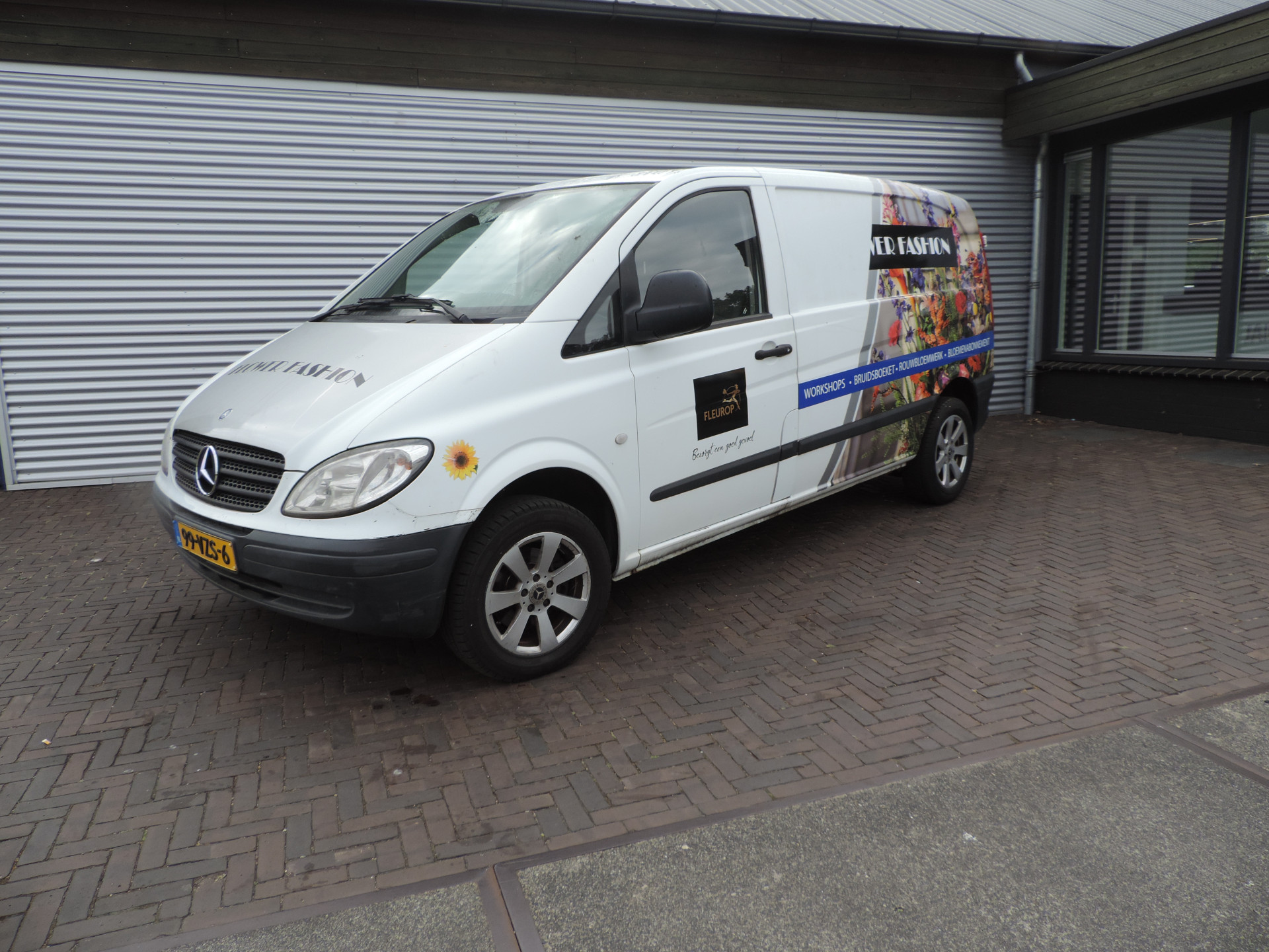 52993220-16.jpg